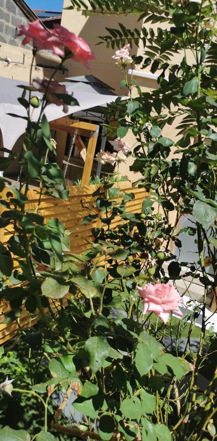 Lyon Superbe Jacuzzi Vue Sur Jardin Apartamento Villeurbanne Exterior foto